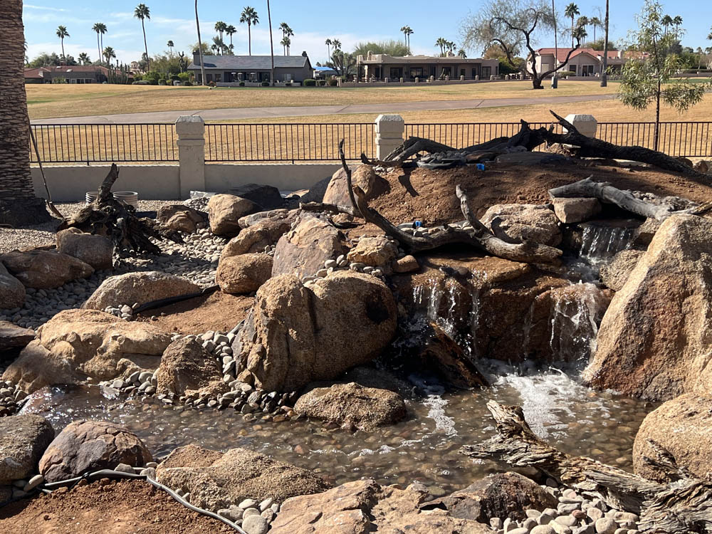 From the Heartland to the Heat🌵